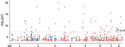 Identifying genetic variants associated with amphotericin B (AMB) resistance in Aspergillus fumigatus via k-mer-based GWAS